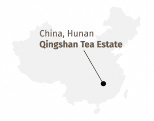 China, Hunan Qingshan Tea Estate